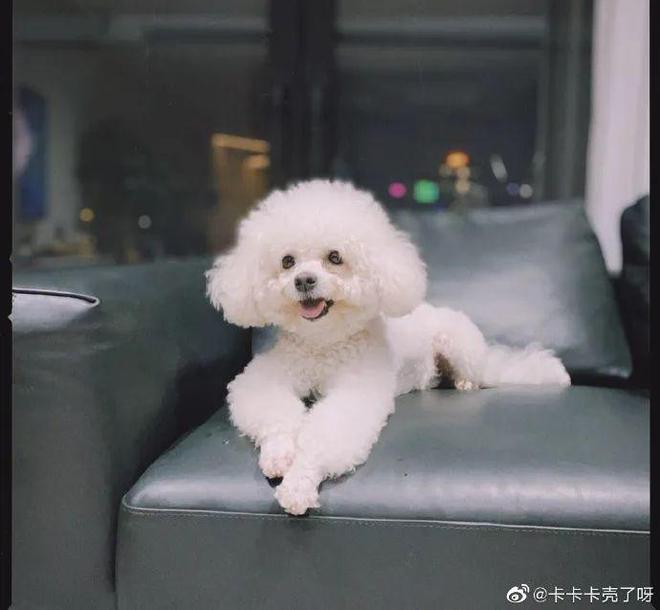 能量可以静止吗_能量确认_