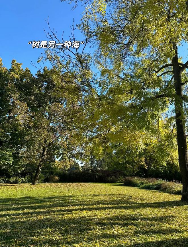 _能量可以静止吗_能量确认