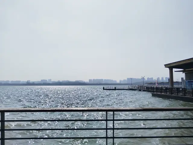 当我对刺毛孩子学会狠心和多巴胺熔断，开始温和上进，越来越自律