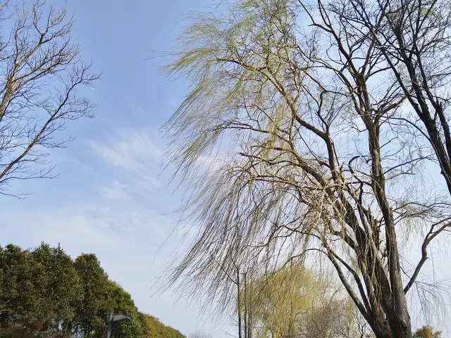 自律温柔且上进是什么意思__上进自律的人最可爱