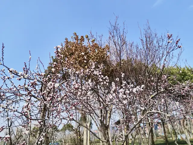 自律温柔且上进是什么意思_上进自律的人最可爱_