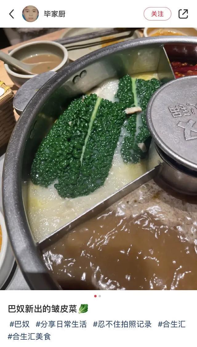 “中产丑菜”，卖爆了？__“中产丑菜”，卖爆了？