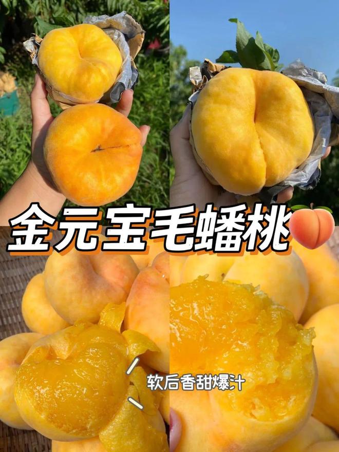 喝水与吃水果的区别_喝水的水果_