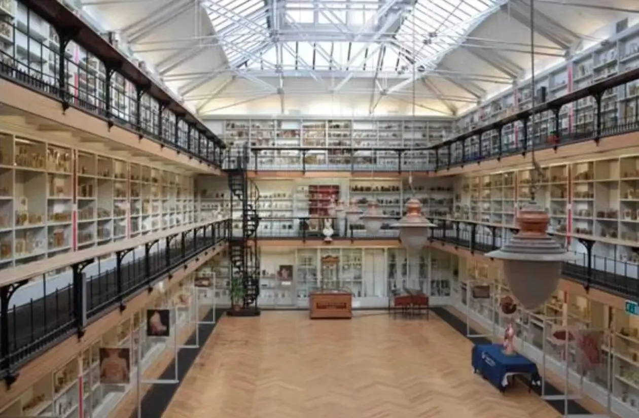 英国伦敦女王玛丽学院__伦敦女王玛丽学院世界排名