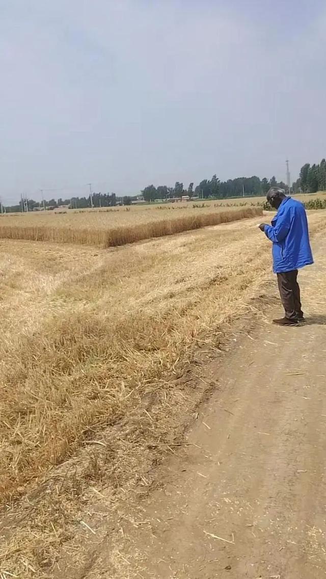 钓金枪鱼挣钱吗__钓金枪鱼是什么原理
