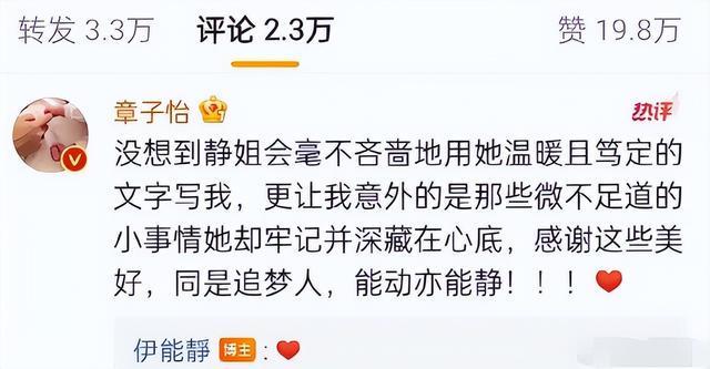 章子怡点评伊能静_章子怡评论汪峰_