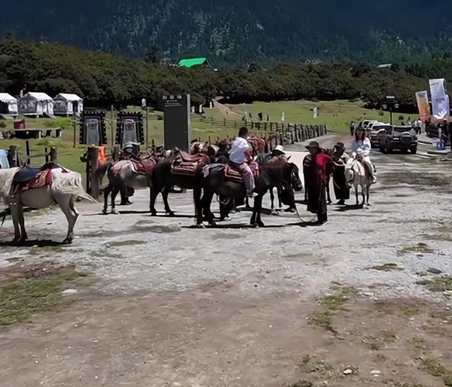 章子怡评论汪峰_章子怡点评伊能静_
