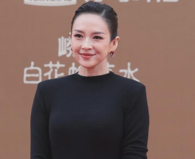 章子怡脸部_章子怡脸部近照_