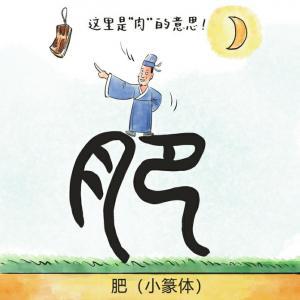 胖依福加肥加大码女裤_肥胖的肥怎么办_