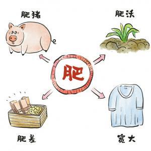 _胖依福加肥加大码女裤_肥胖的肥怎么办
