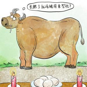 _胖依福加肥加大码女裤_肥胖的肥怎么办