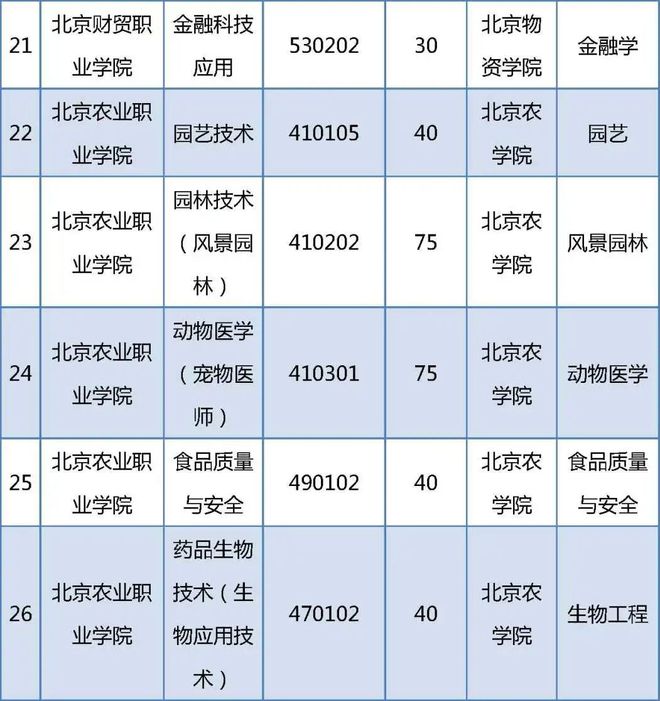 2020年贯通项目招生计划_贯通招生培养发布计划怎么写_