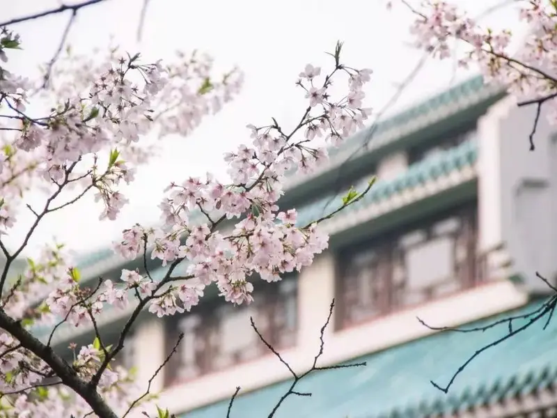 东北师范大学成人专升本报名时间截止