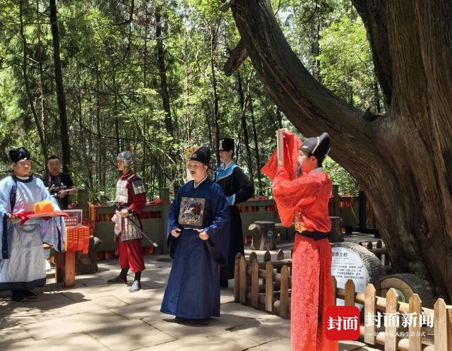 蜀道翠云廊：千年古柏见证文旅融合新图景丨您牵挂的四川__蜀道翠云廊：千年古柏见证文旅融合新图景丨您牵挂的四川