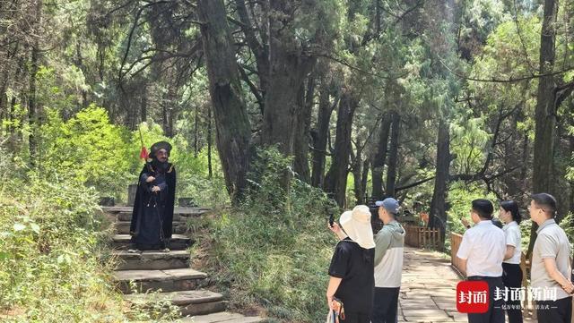 _蜀道翠云廊：千年古柏见证文旅融合新图景丨您牵挂的四川_蜀道翠云廊：千年古柏见证文旅融合新图景丨您牵挂的四川