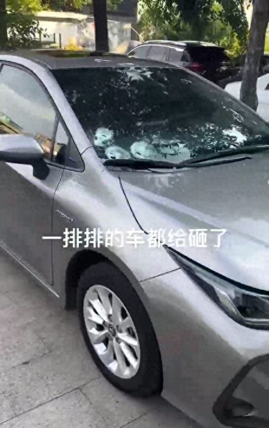 持刀男子当街砸损多辆车，目击者称其情绪不稳，东莞警方已将其抓获