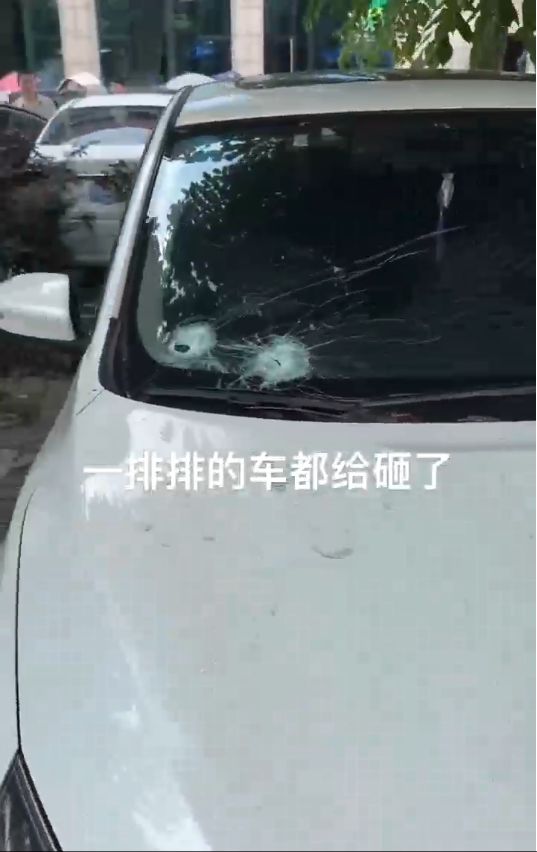 警方抓捕过程中造成的损失__警方抓获砸车男子