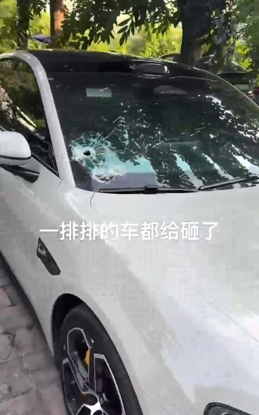 警方抓获砸车男子_警方抓捕过程中造成的损失_