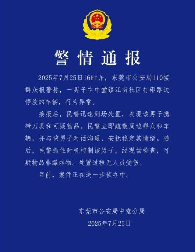_警方抓捕过程中造成的损失_警方抓获砸车男子