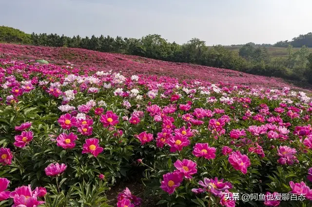 _高考失利听什么歌_如何教育孩子听父母话