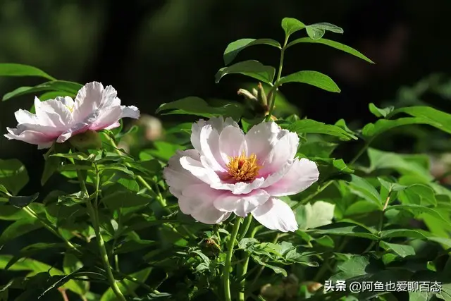 如何教育孩子听父母话_高考失利听什么歌_