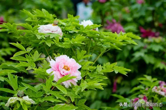 高考失利听什么歌_如何教育孩子听父母话_