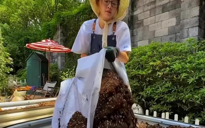 _郑恺小姨子不忍了！回应在姐夫家蹭吃蹭住，买包事件真相大白_郑恺小姨子不忍了！回应在姐夫家蹭吃蹭住，买包事件真相大白