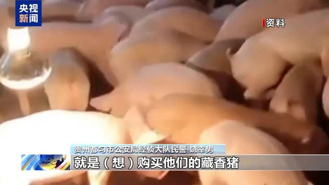 赚钱赔钱__赔付赚钱