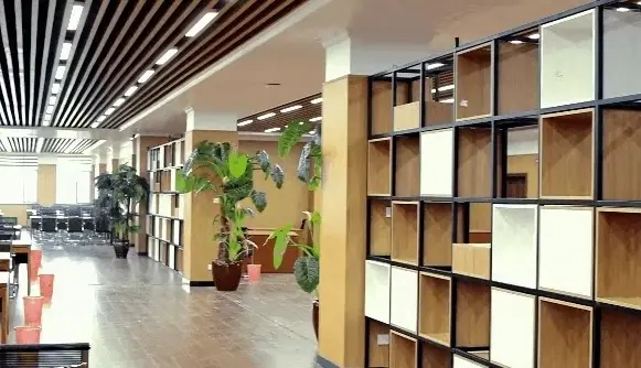 沈阳什么专业好就业__沈阳好就业的专科学校