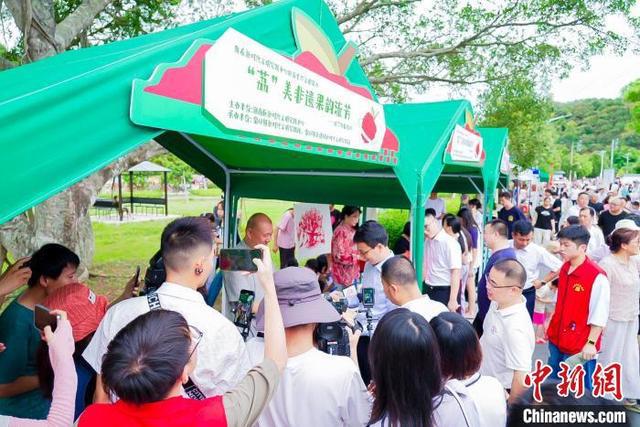 荔枝旅游文化节__荔波荔旅集团董事长