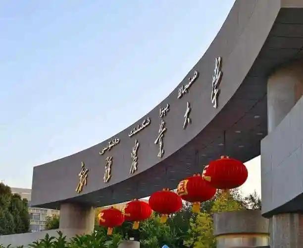 于冷门处绽放：高考300多分，选个天坑专业，现在985读博