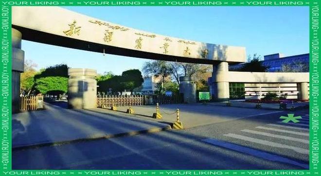 _于冷门处绽放：高考300多分，选个天坑专业，现在985读博_于冷门处绽放：高考300多分，选个天坑专业，现在985读博