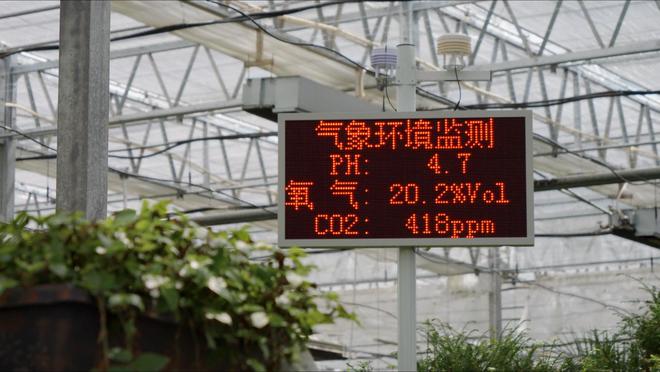 _2013年新莞人积分入学名单_高原上的家园