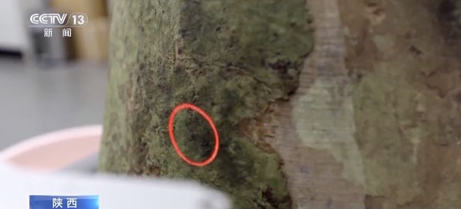 指纹未完成注册怎么解决_关于指纹未完成注册问题_