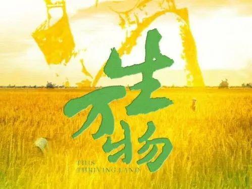 _玫红裙子配什么上衣好看_红玫瑰裙子蓝盈莹图片