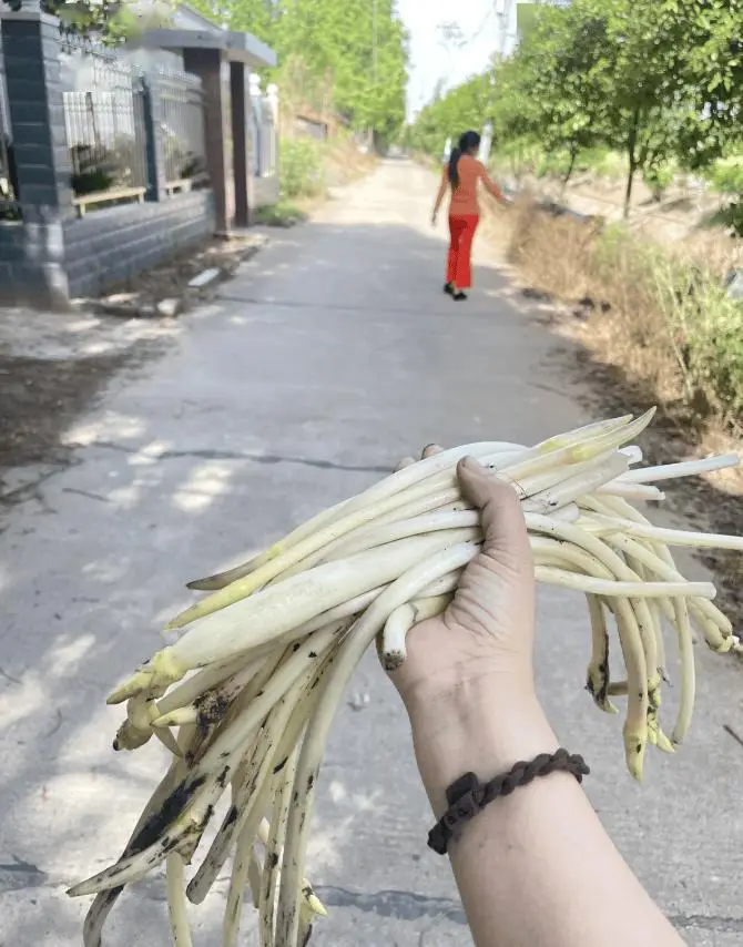 木制花瓶掏空刀_从木材中掏空用什么工具_