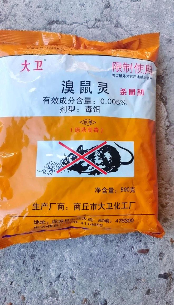 _比亚迪结论_比亚迪又一力作