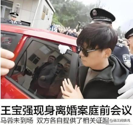 王宝强老婆马蓉身价_王宝强马蓉抚养权_
