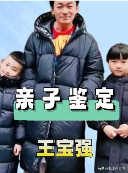 王宝强老婆马蓉身价__王宝强马蓉抚养权