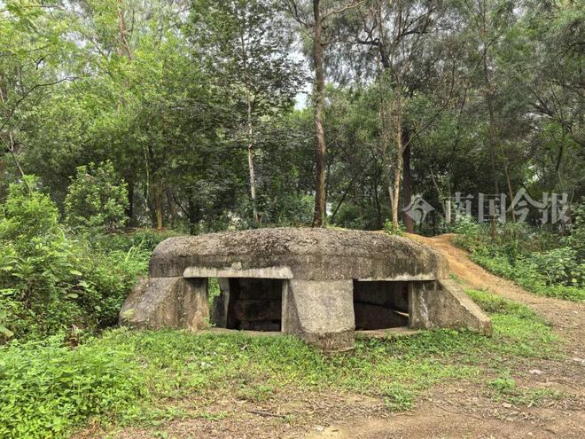 鲜为人知！柳州这个常有人遛鸟的“小山包”，居然暗藏超长地道！_鲜为人知！柳州这个常有人遛鸟的“小山包”，居然暗藏超长地道！_