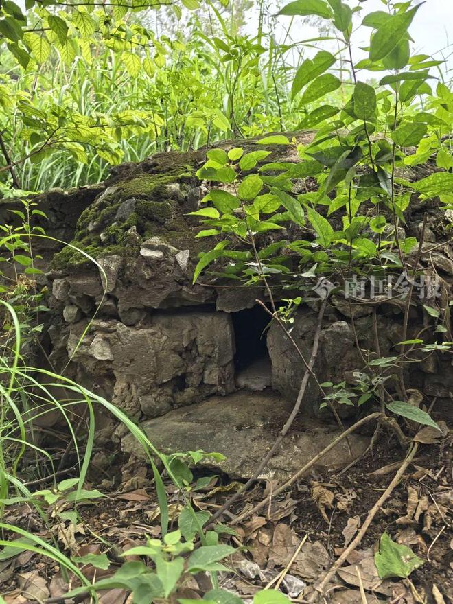 _鲜为人知！柳州这个常有人遛鸟的“小山包”，居然暗藏超长地道！_鲜为人知！柳州这个常有人遛鸟的“小山包”，居然暗藏超长地道！